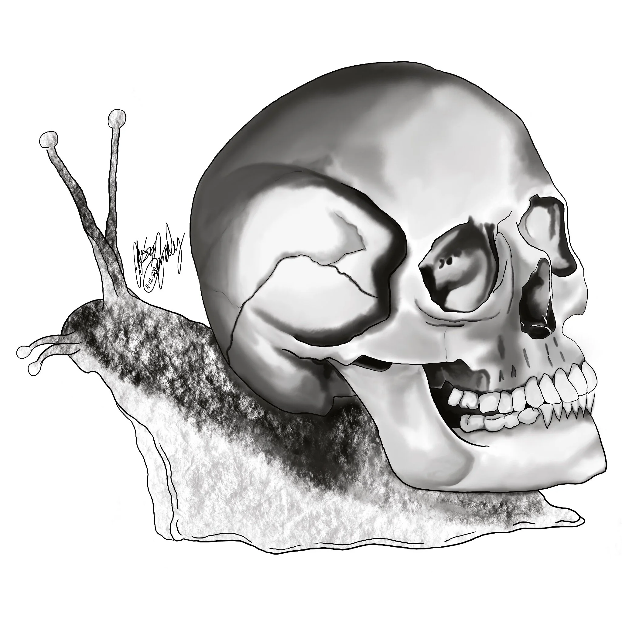 Snail_Skull.jpg