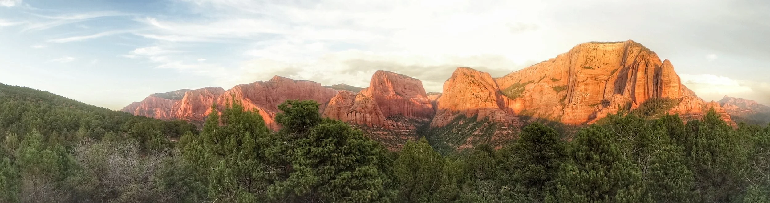 DSC01476-01.jpeg