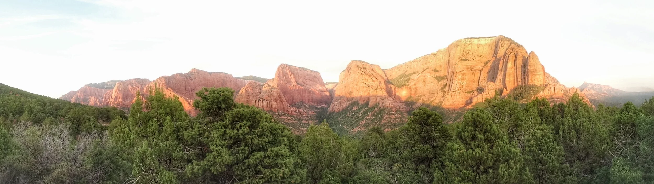 DSC01477-01.jpeg