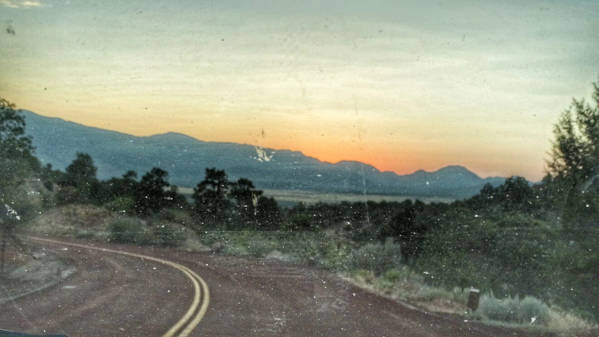 DSC01550-01.jpeg
