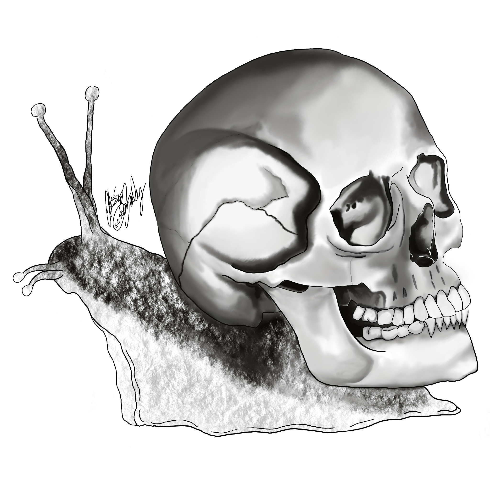 739D1A97-C904-402C-B472-28BB512B7A55.png