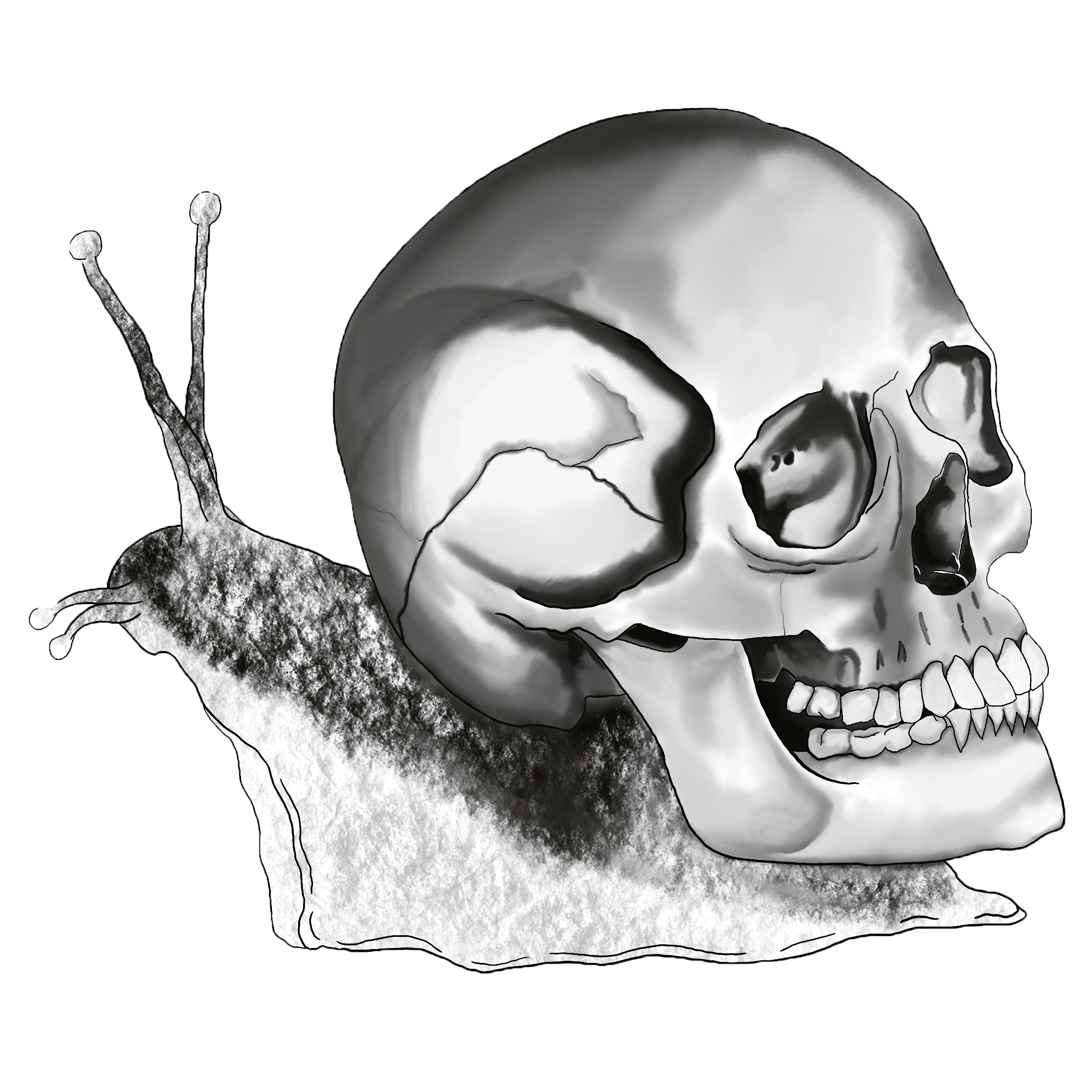 IMG_2847.png