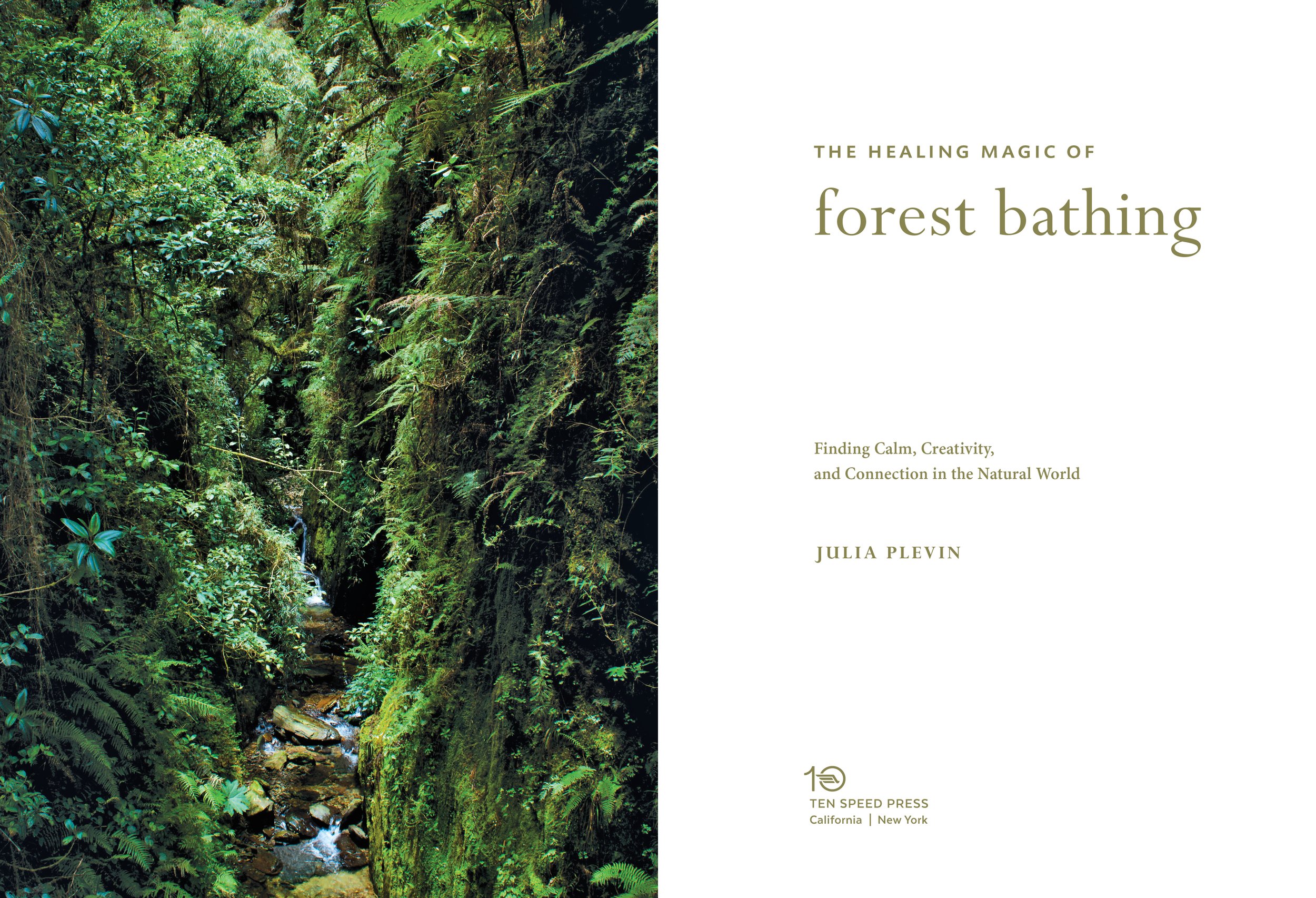 TheHealingMagicofForestBathing 2.jpg