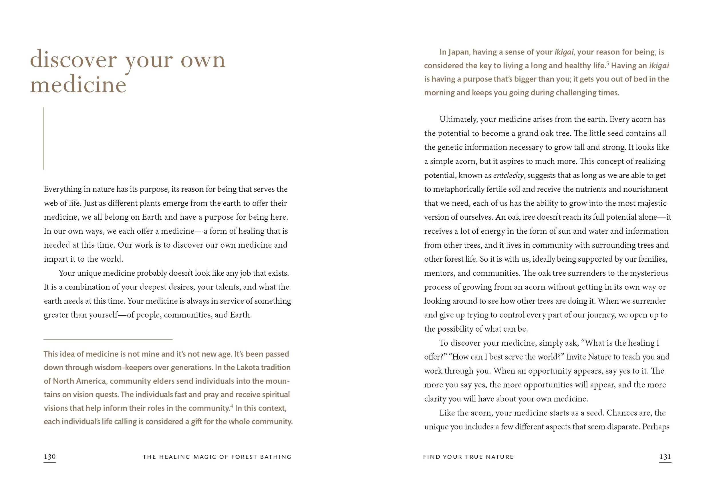 TheHealingMagicofForestBathing 69.jpg