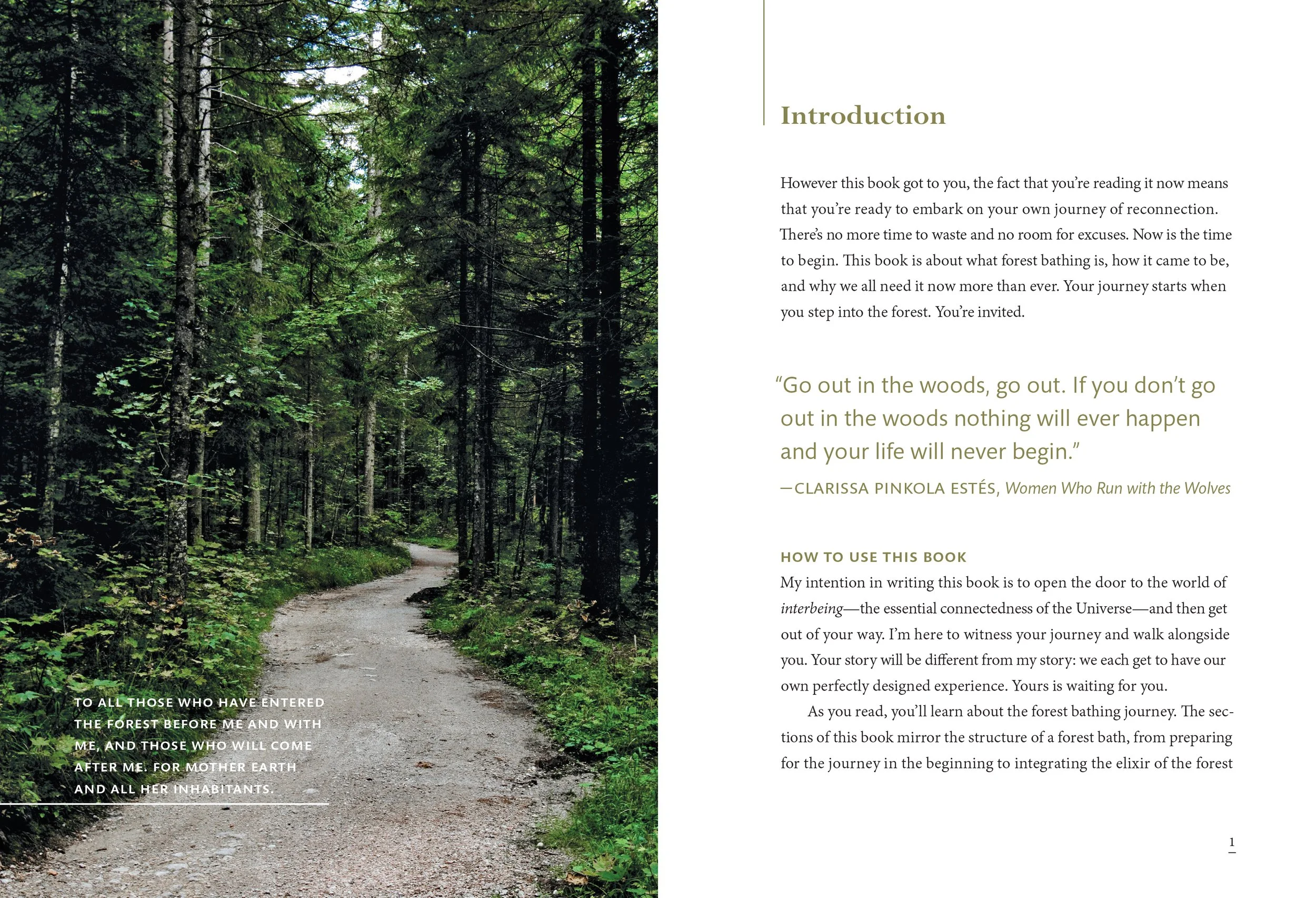 TheHealingMagicofForestBathing 4.jpg