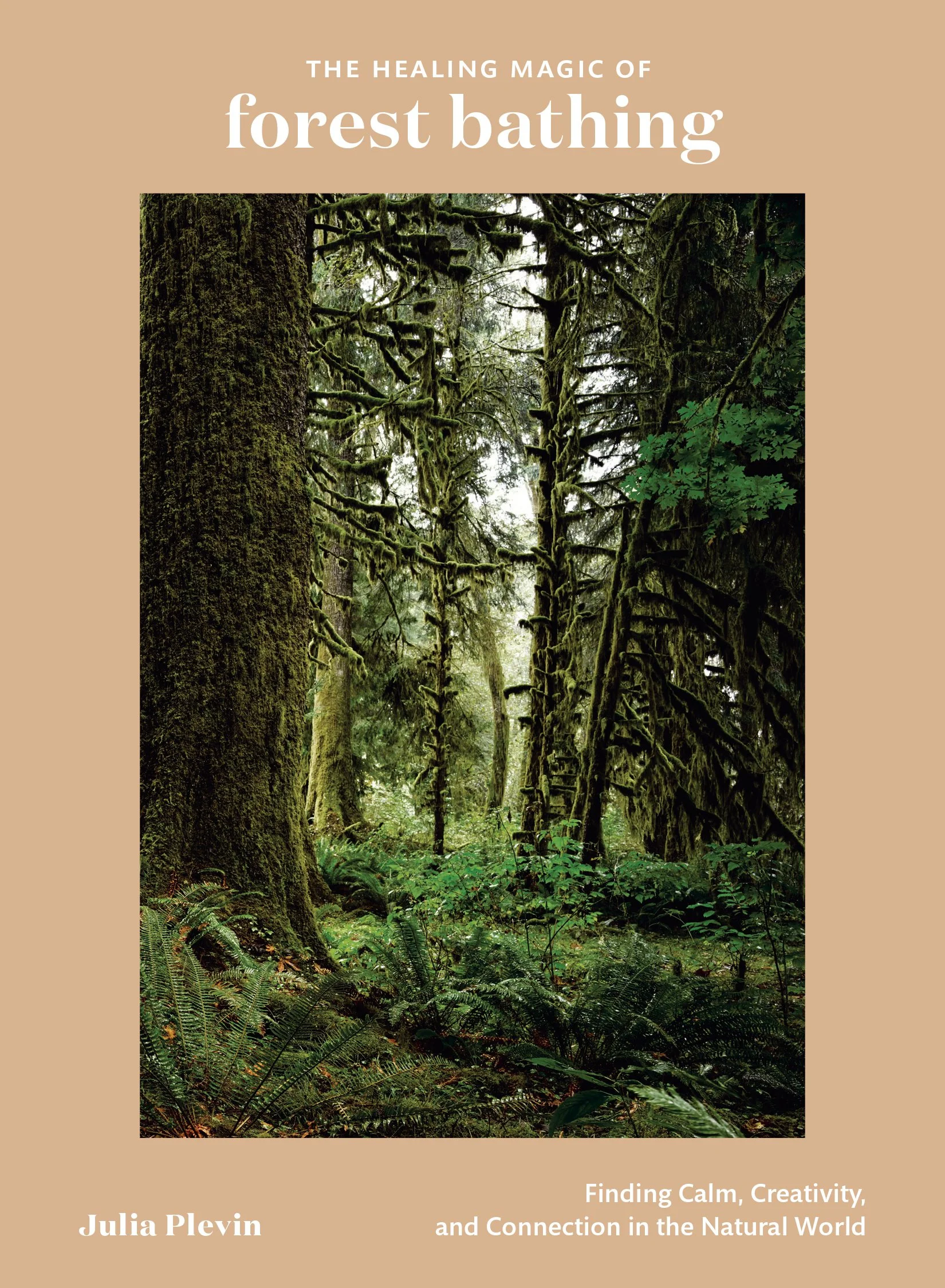 The Healing Magic of Forest Bathing