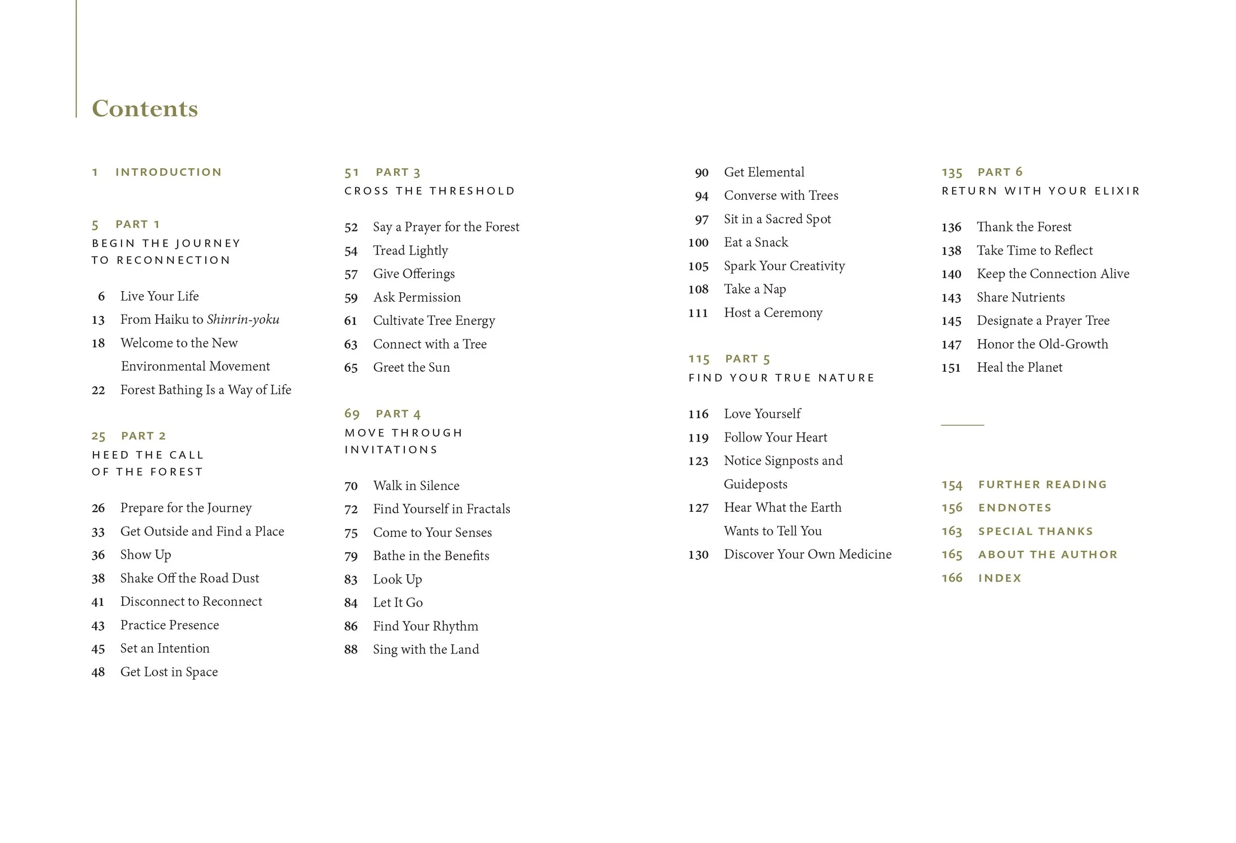 TheHealingMagicofForestBathing 3.jpg