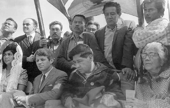 Celebrating Brown Solidarity