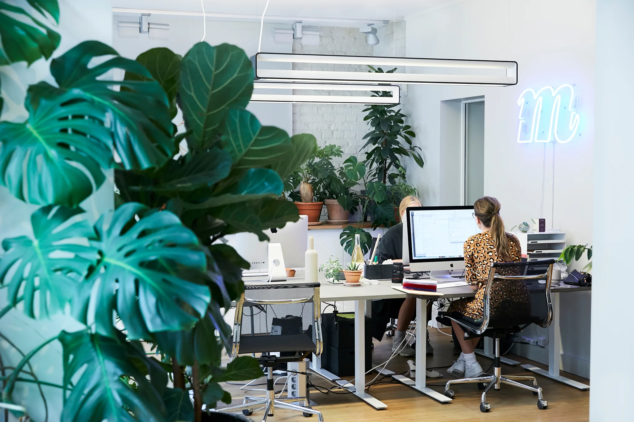 SAS_Minsk2018_0684_webprofil_srgb.jpg
