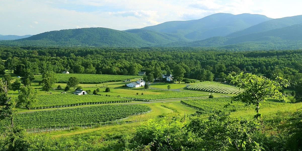 Veritas Vineyard & Winery