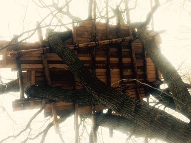 Tree house at Hambacher Forst