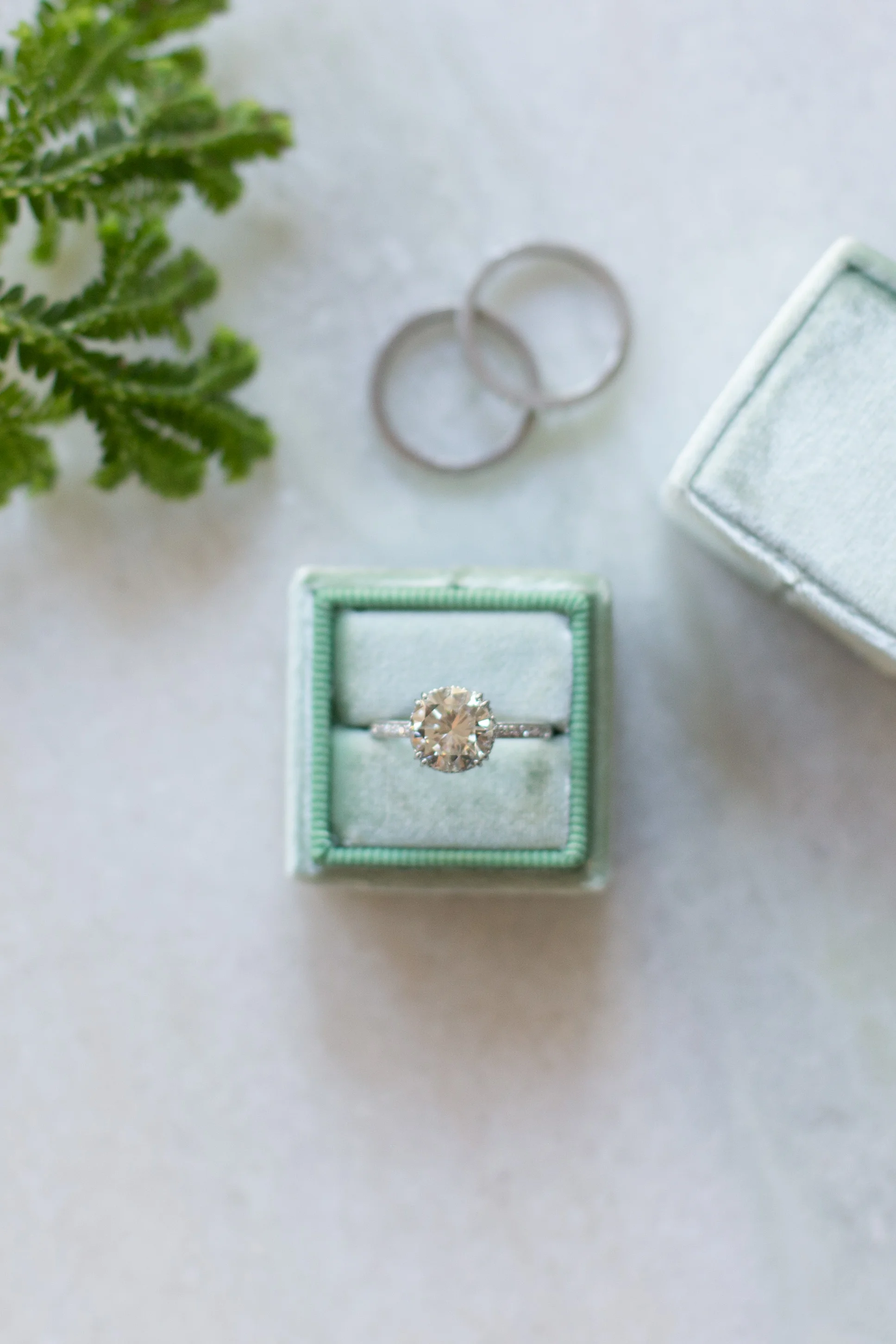 Portfolio — Emily Sole