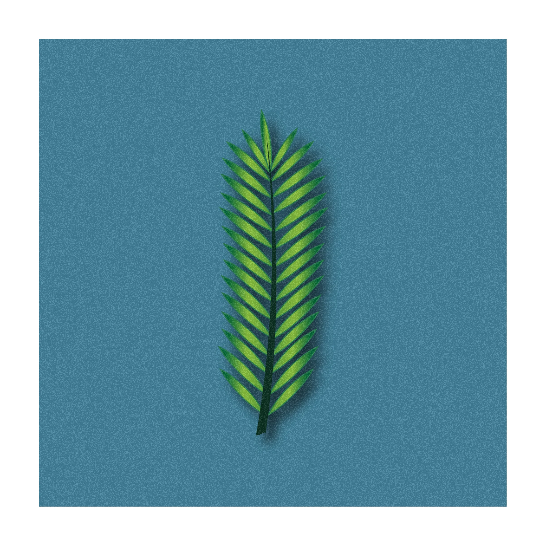 fern.jpg