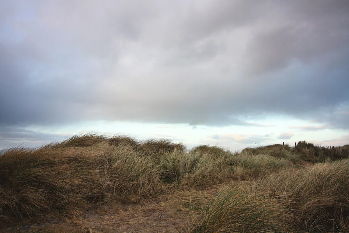 Barr Family in Ireland © Laura Barr Photography10.jpg