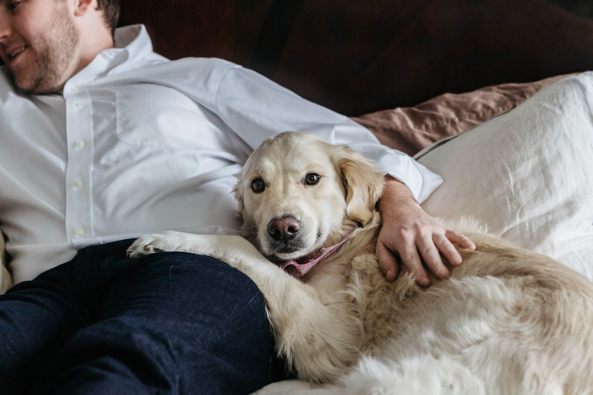 newborn session with dog - laura barr photography