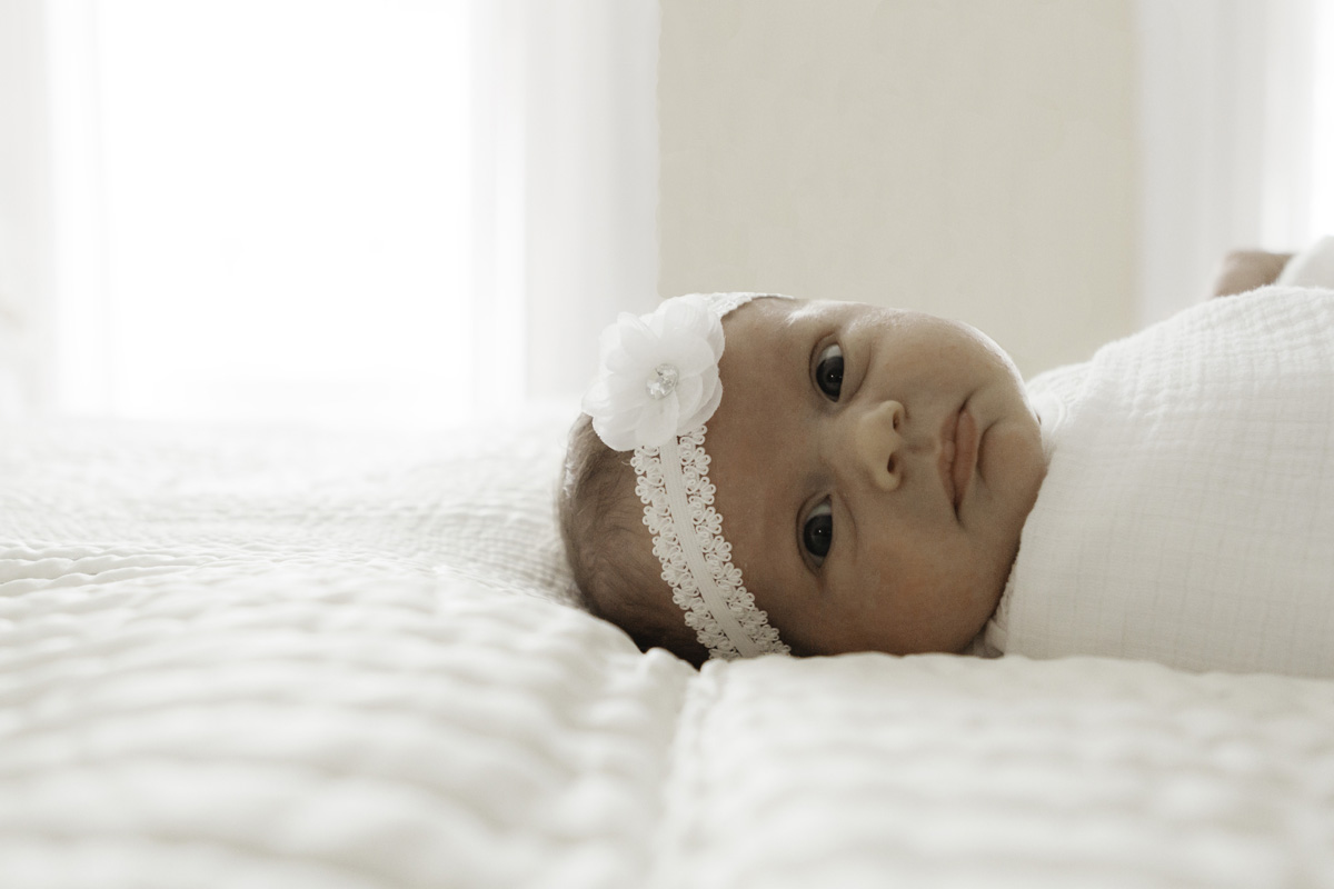 baby headband - newborn session baby e - laura barr photography