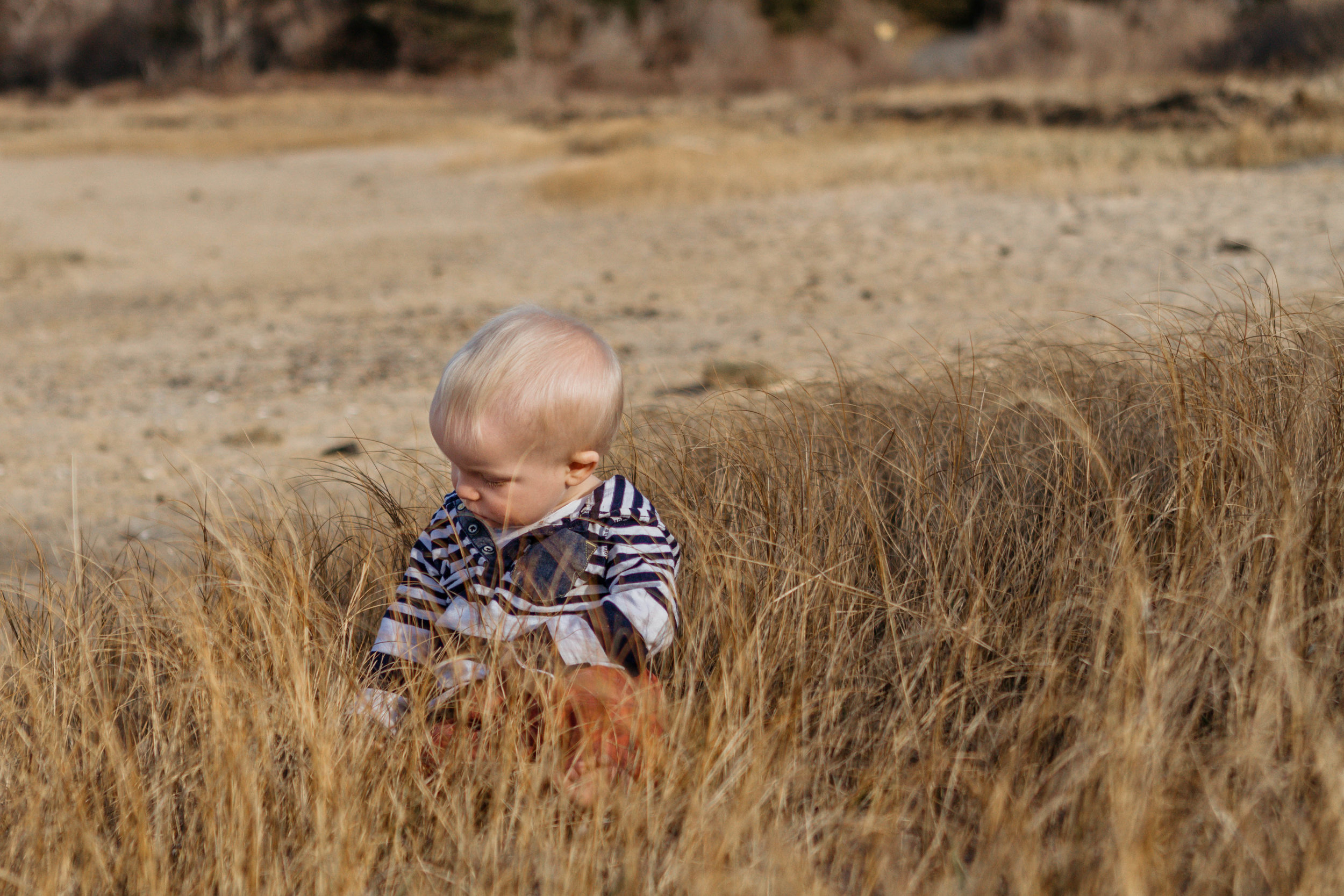 golden hour baby - cape cod - laura barr photography