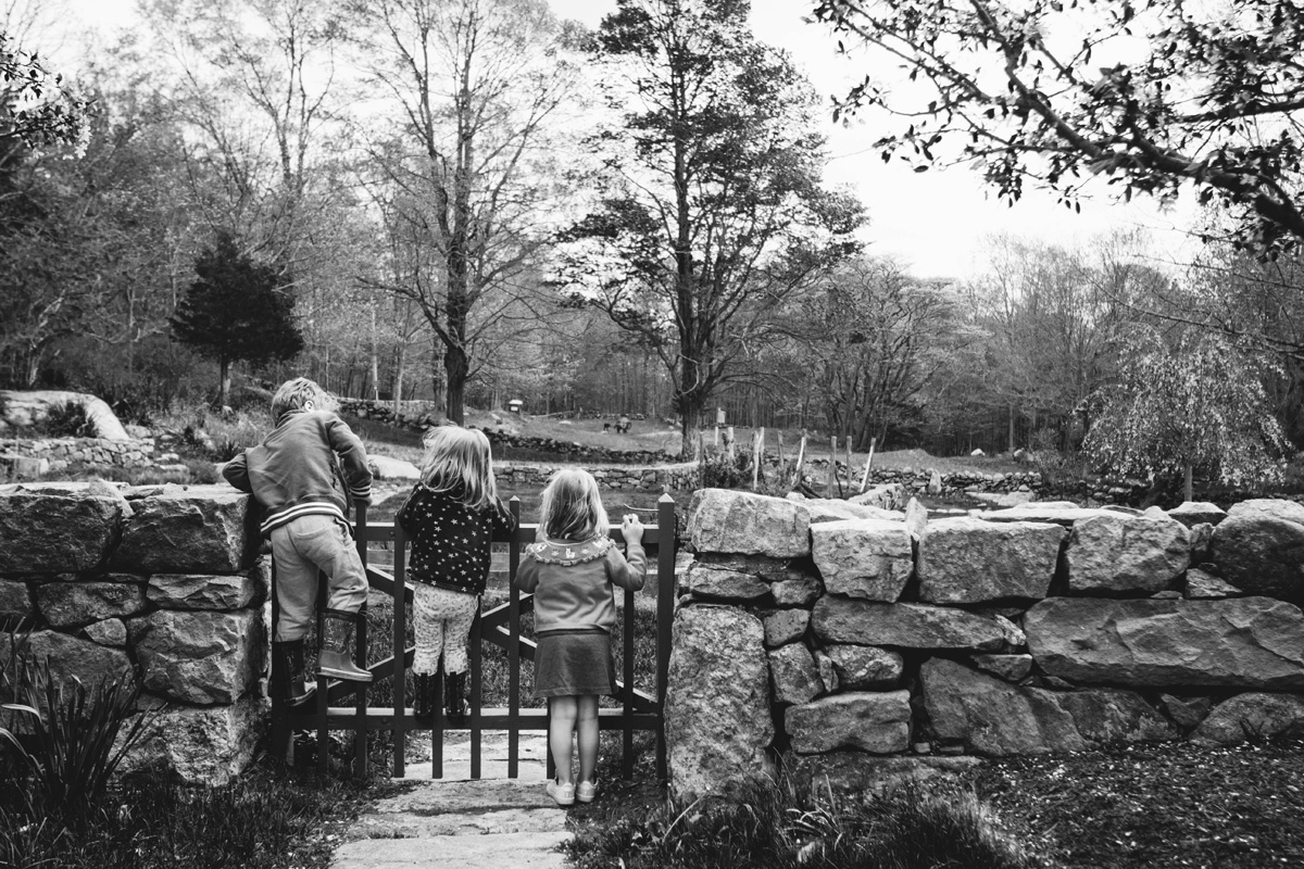 weir farm wilton ct laura barr photography 4