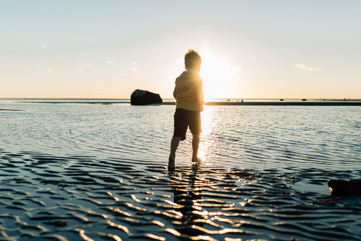 skaket beach golden hour by laura barr photography