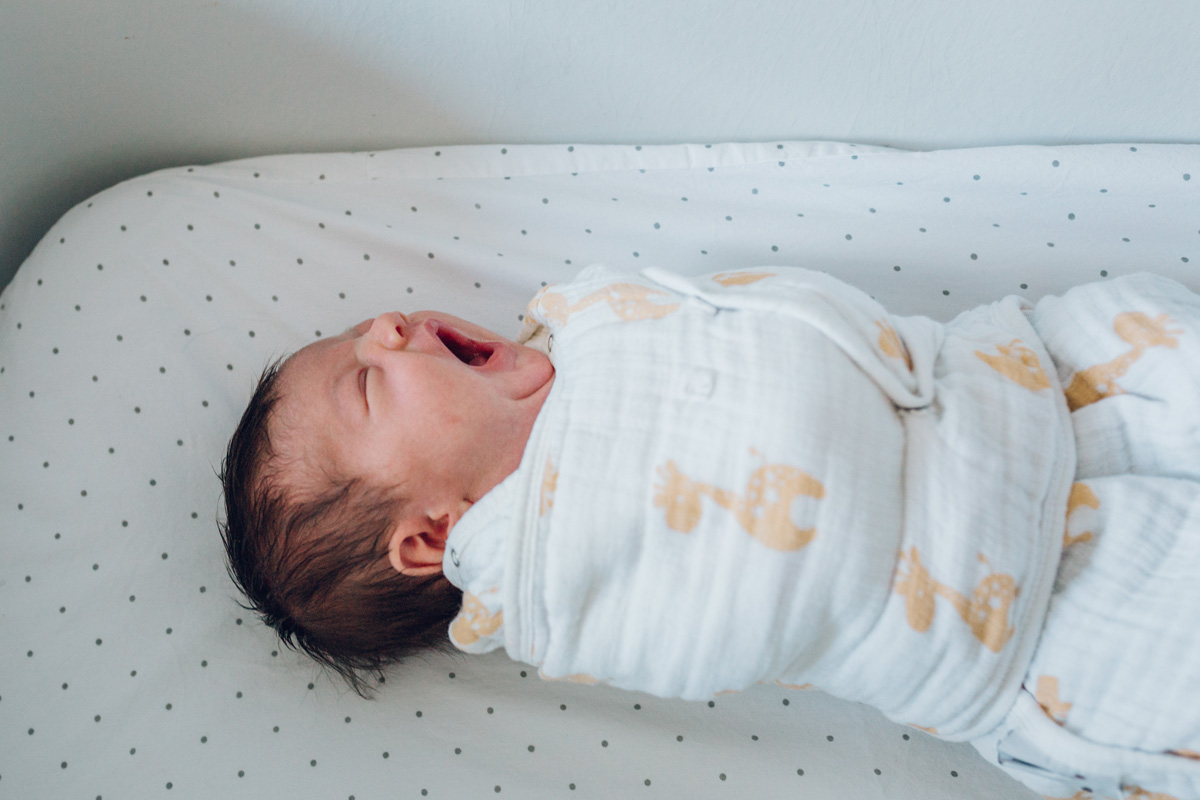 baby in bassinet by laura barr photography