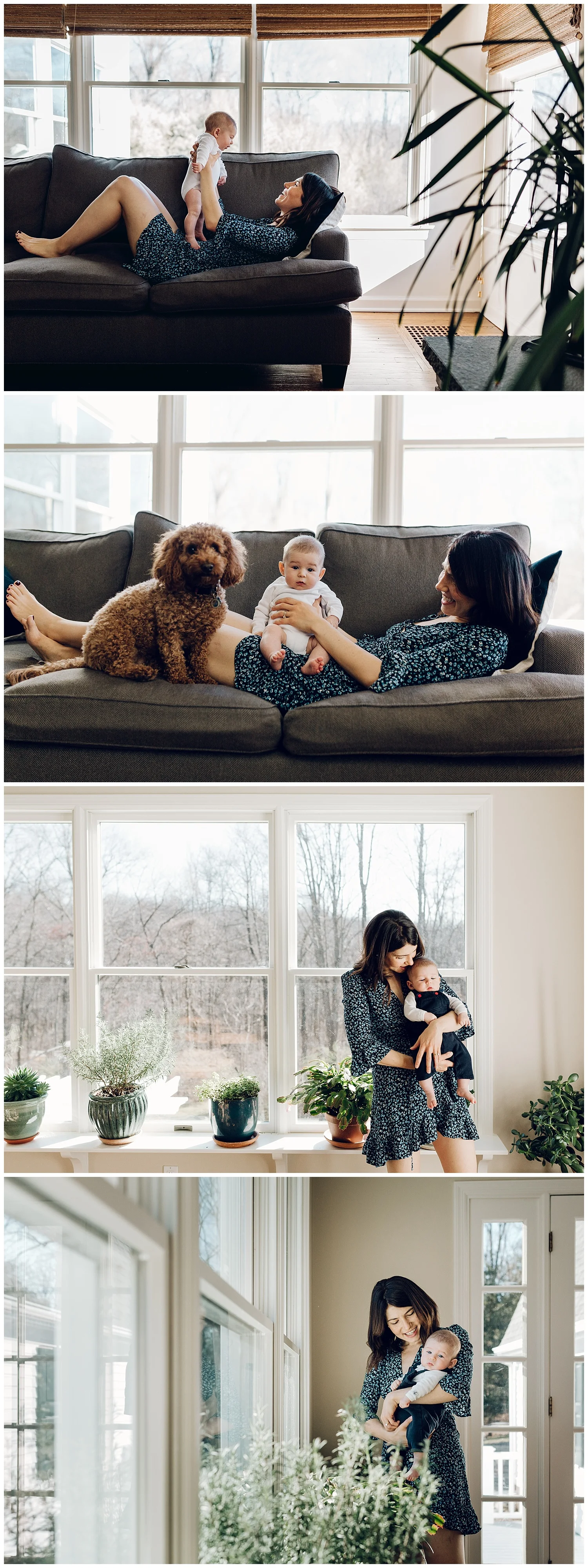 in home newborn session in fairfield county ct