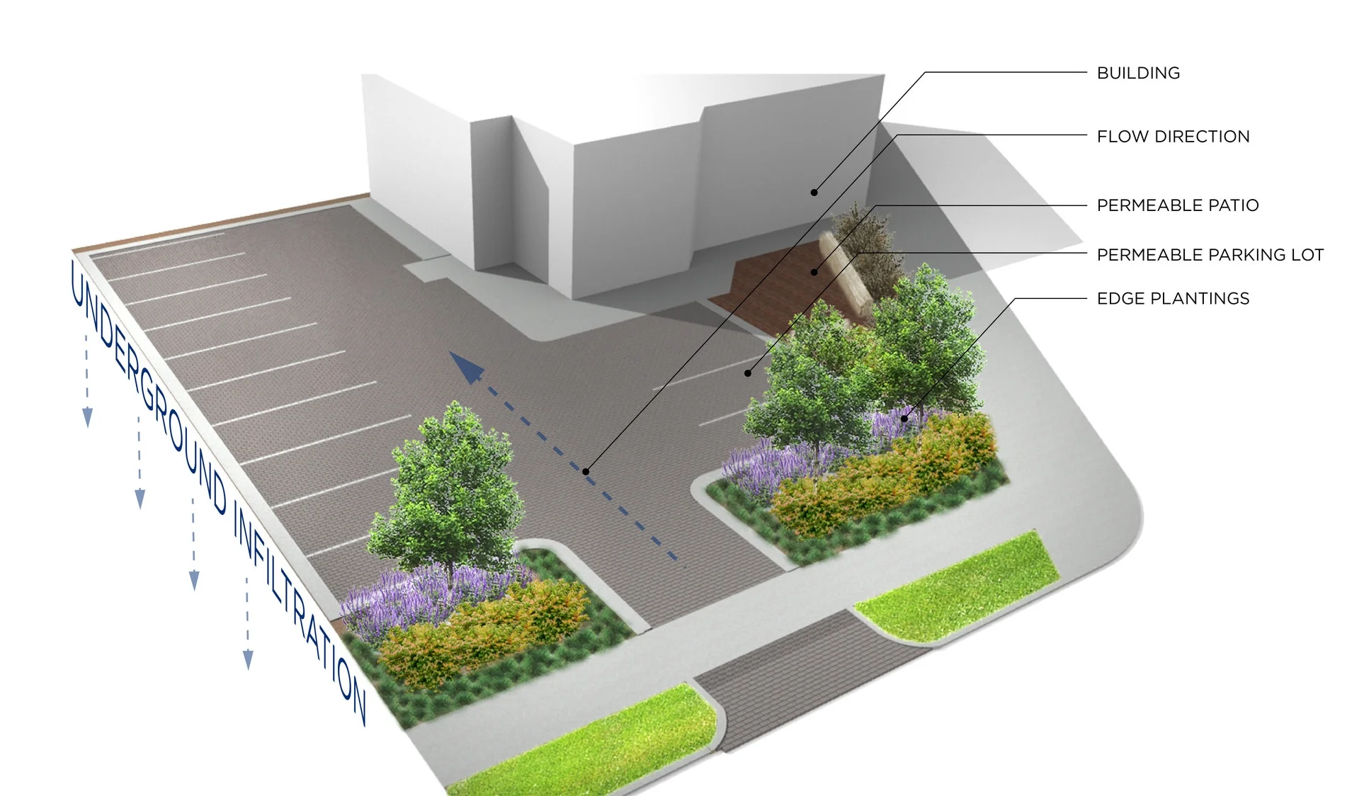 Perspective Rendering2.jpg