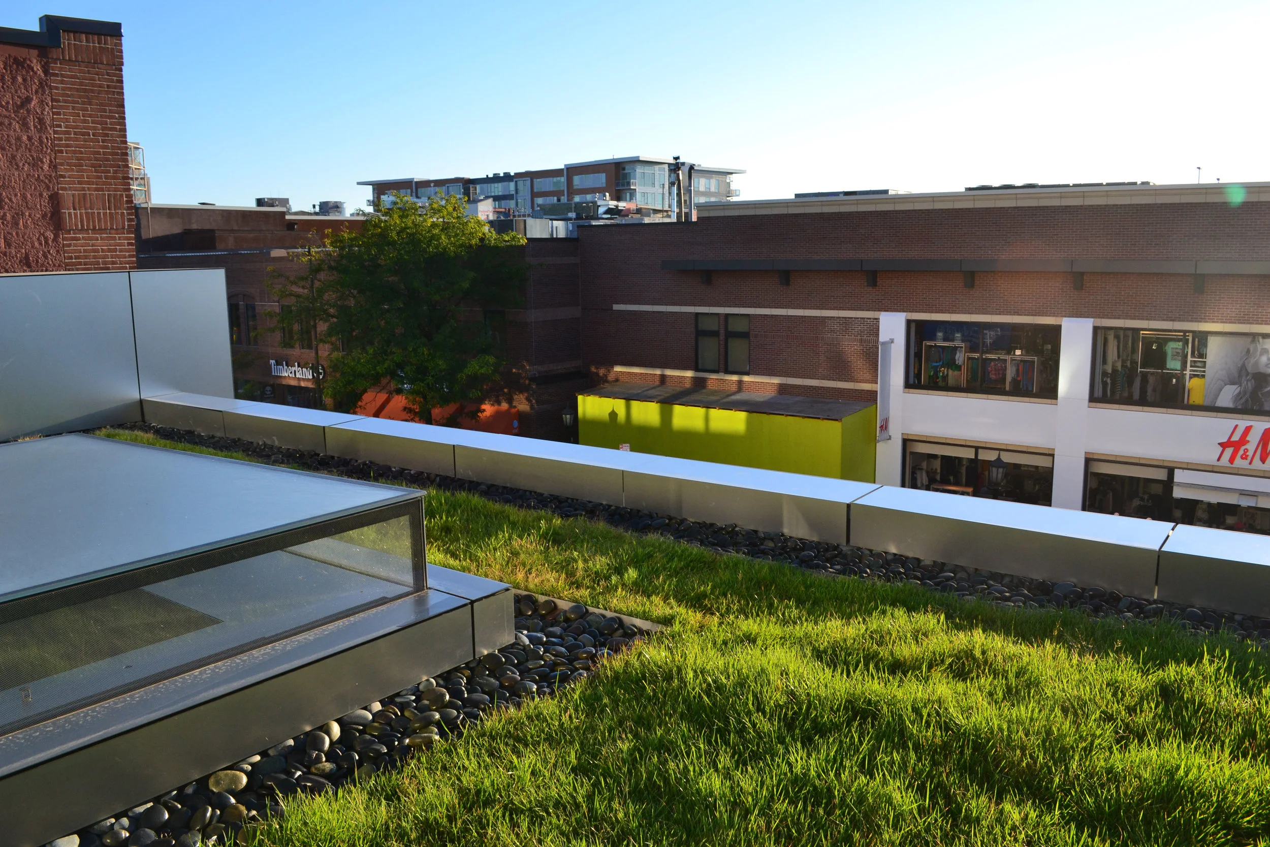 UrbanEcosystems_GreenRoof_.jpg