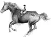 Logo - Horse - Small.jpg