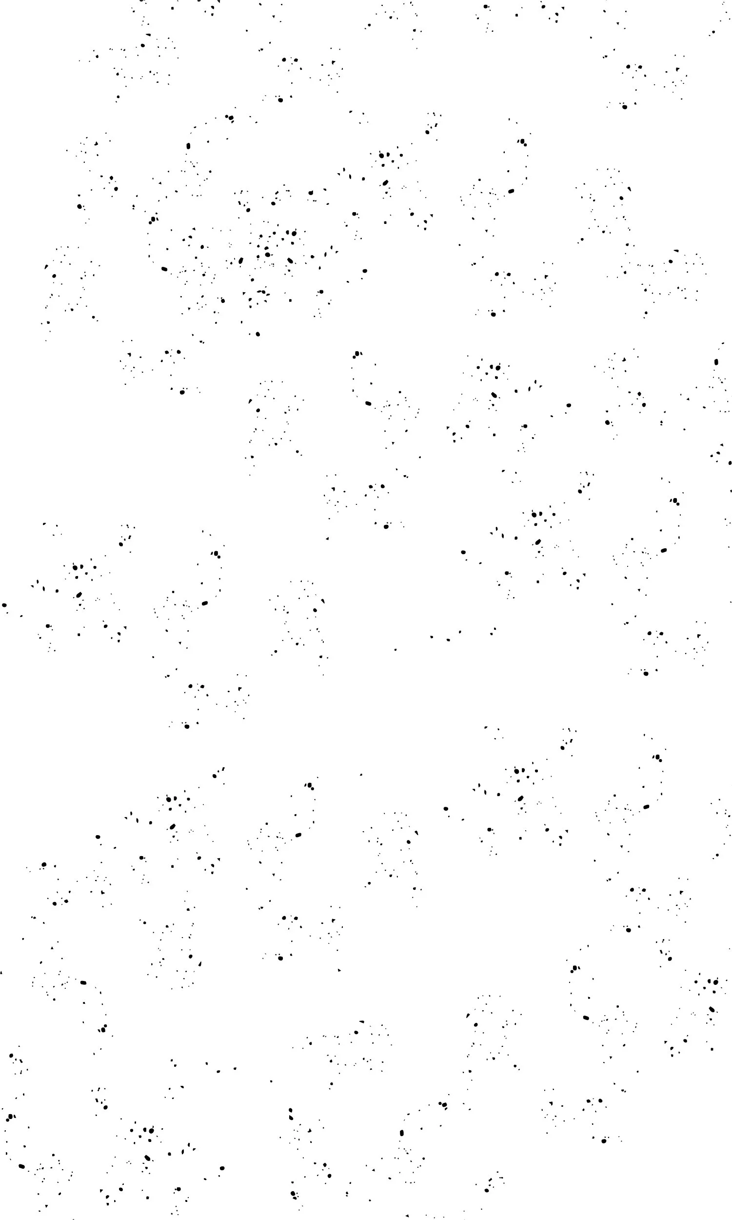 1500 x 3000 - background specks.jpg