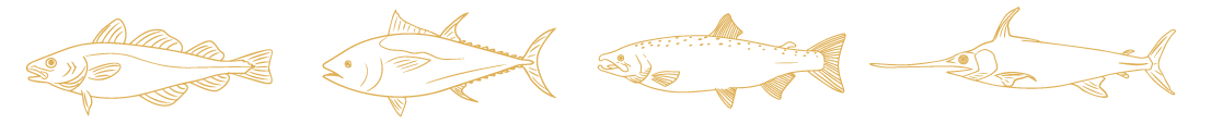 4fish.png