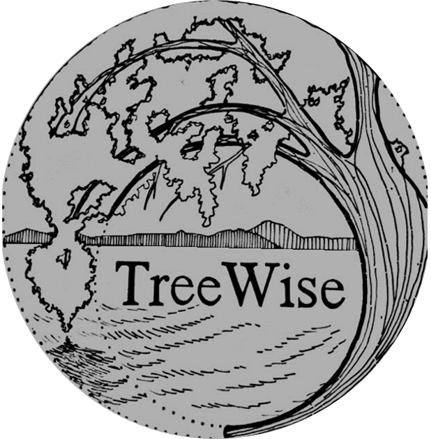 TreeWise