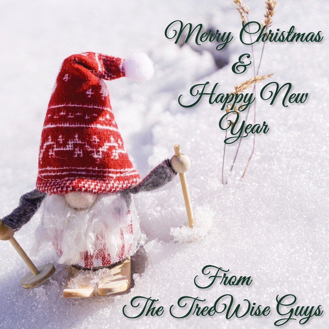 Merry Christmas from our families to yours! 

#Gnomebusinessliketreebusiness #MerryChristmas #HappyNewYear #HappyHolidays #treewisega #treeclimbing #treeclimber #tree #treeservice #treecare #treebiz #trees #treeremoval #treesurgeon #treeworker #treec