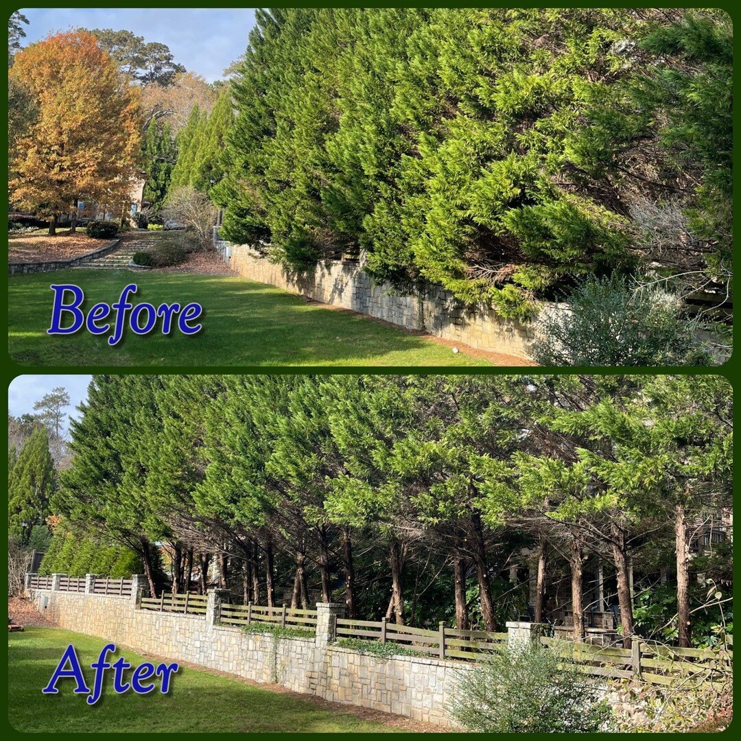 Another successful project completed! We're sure that you will be too! Schedule your free estimate today!

#wehaveafence #thefenceisfree #treewisega #treeclimbing #treeclimber #tree #treeservice #treecare #treebiz #trees #treeremoval #treesurgeon #tr
