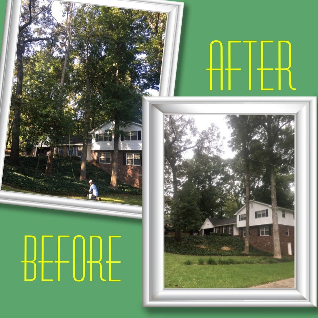 What a job! The rain tried to keep us away, but we think we knocked this one out of the park! Let us know what you think. 

#treewisega #treeclimbing #treeclimber #tree #treeservice #treecare #treebiz #trees #treeremoval #treesurgeon #treeworker #tre