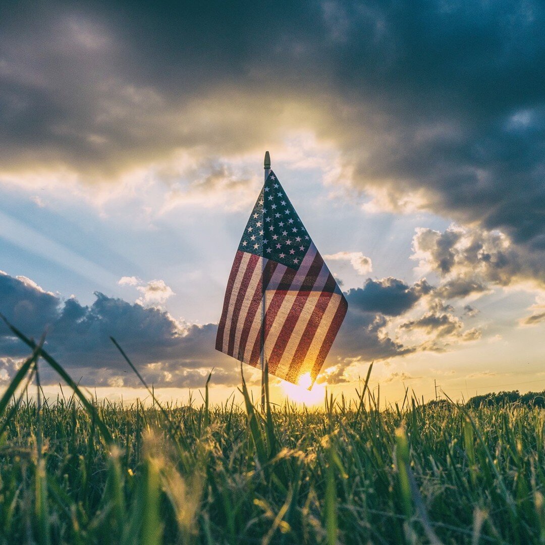 Today we celebrate and honor America's veterans for their patriotism, love of country and willingness to serve and sacrifice for the common good. Thank you for your service.⁠
#treewisega #veteranowned #veteranoperated