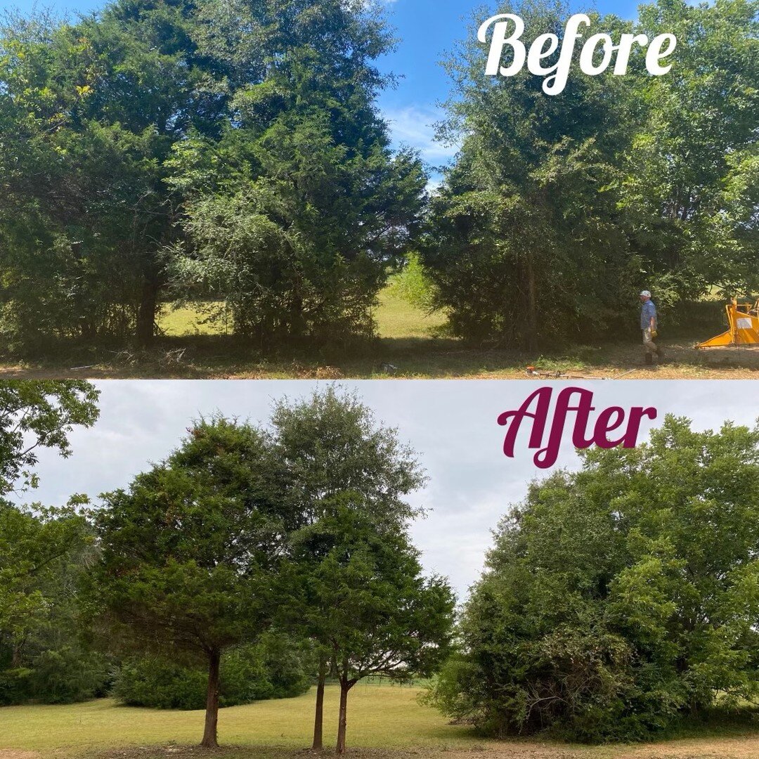 Quick Reminder - We're still open and available for tree service calls 📱. Our estimate and project dates are filling up quick💨 so book today!

Call, text, or schedule online to sign yourself up for a free estimate right now. We can even complete yo