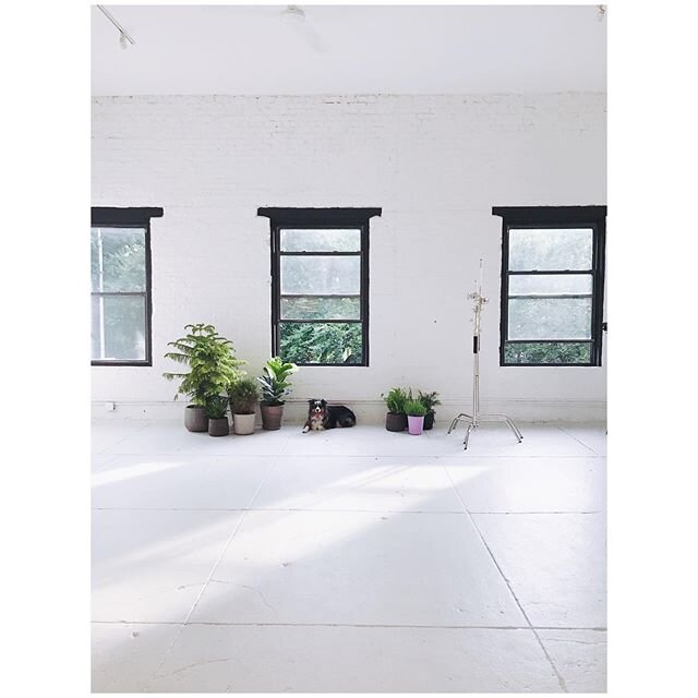 Really looking forward to spring when all the green pops in McCarren Park and we can finally open these big windows again.
.
.
.
#photostudio #nycphotostudio #brooklynphotostudio #nyc #nyccreatives #creatives #foodstudio #rypestudio #foodfocused #foo
