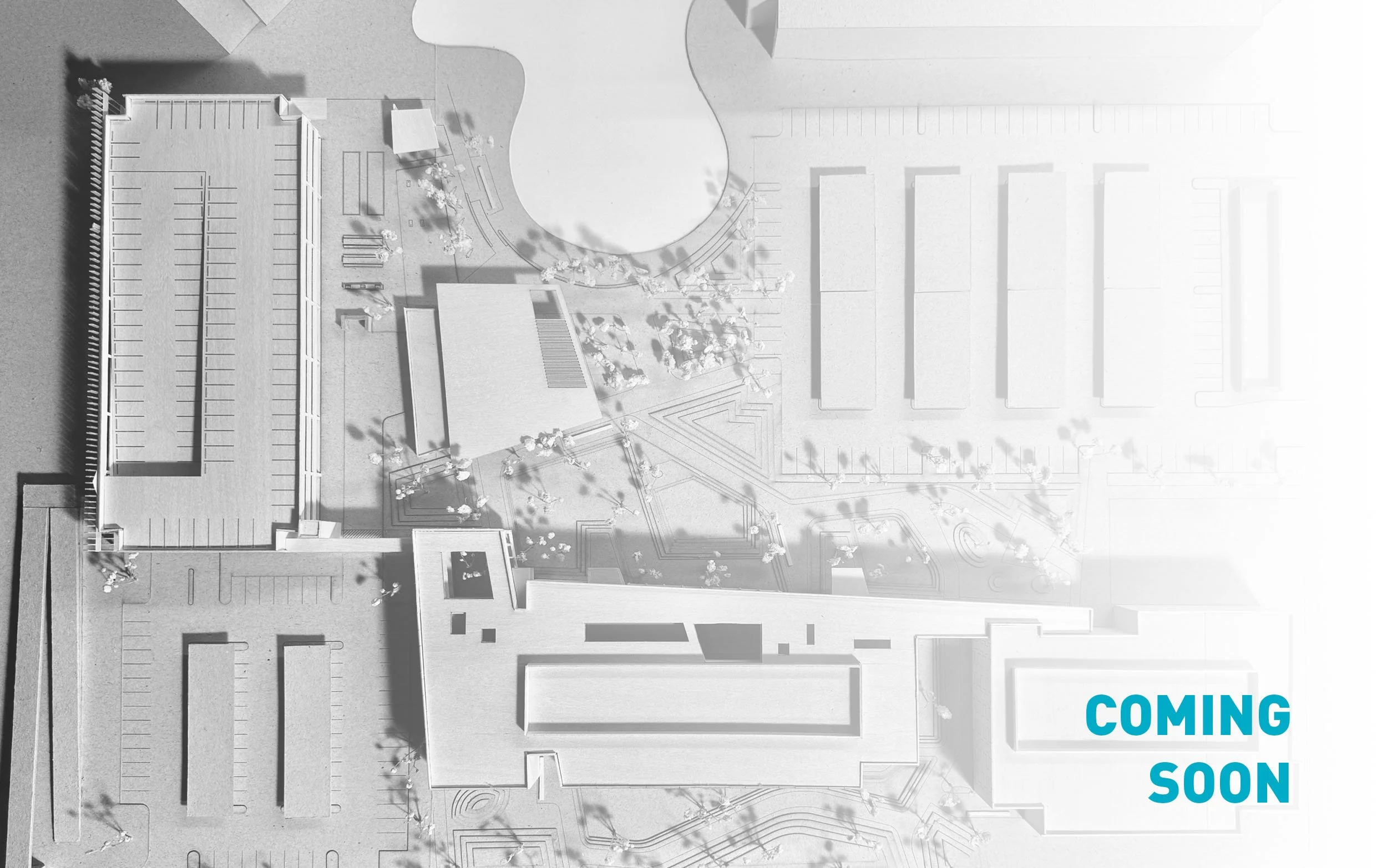 Coming Soon.jpg