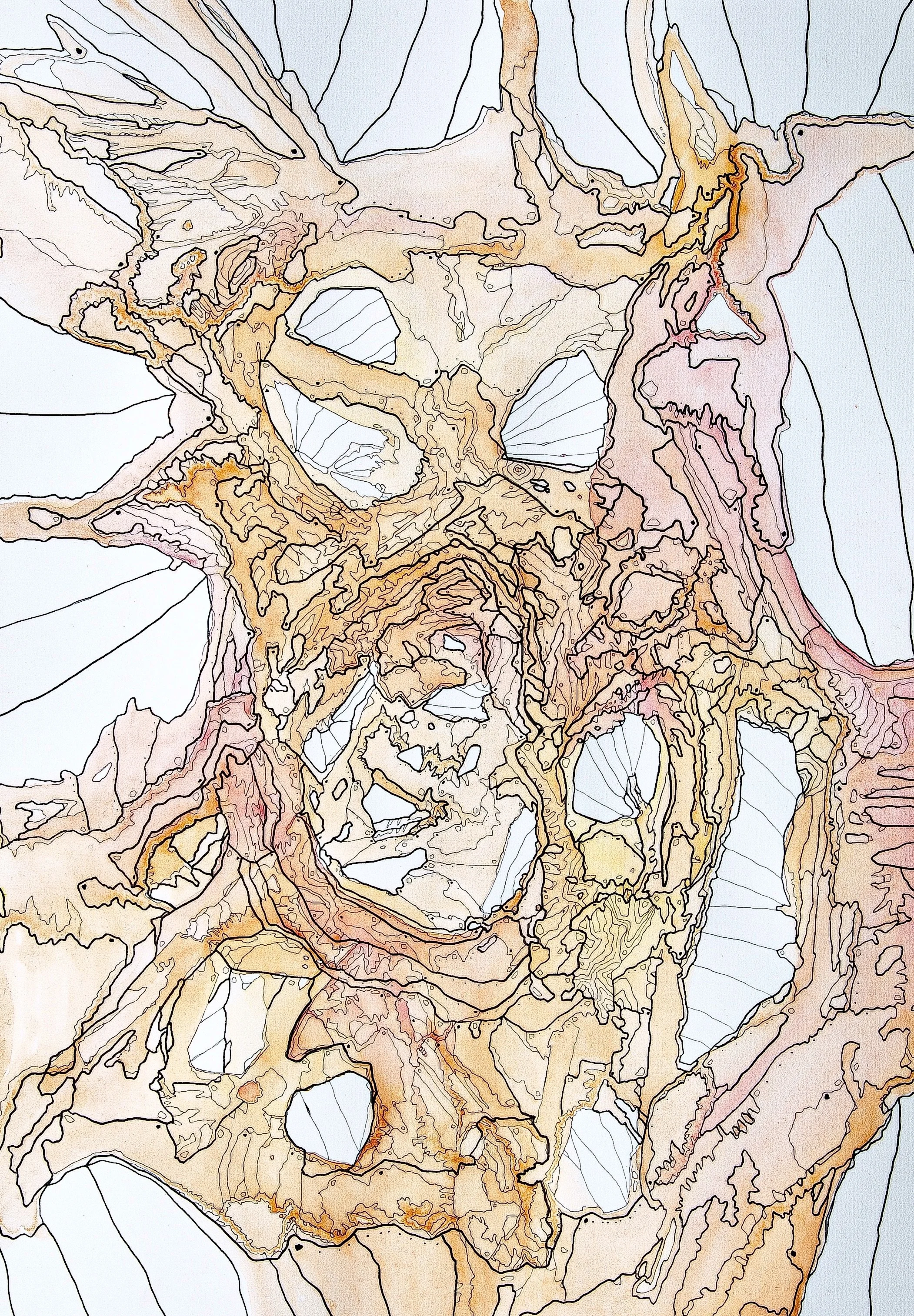 Topographic map with contour lines in shades of brown, orange, pink, and black, depicting elevation changes and land features.