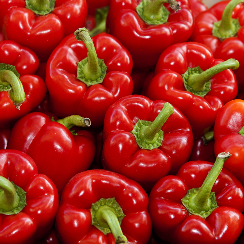 red bell peppers in shipping container