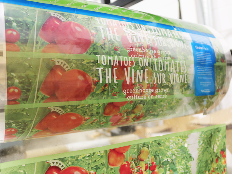 roll of colourful bopp flow wrap film for peppers on roll stand