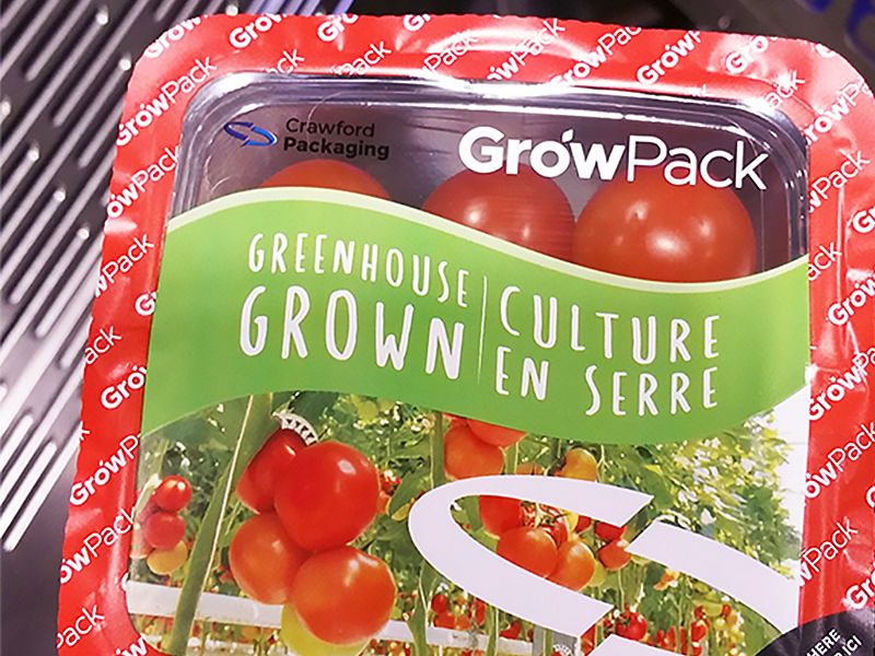 cherry tomatoes packed in growpack top seal film with red and green colours