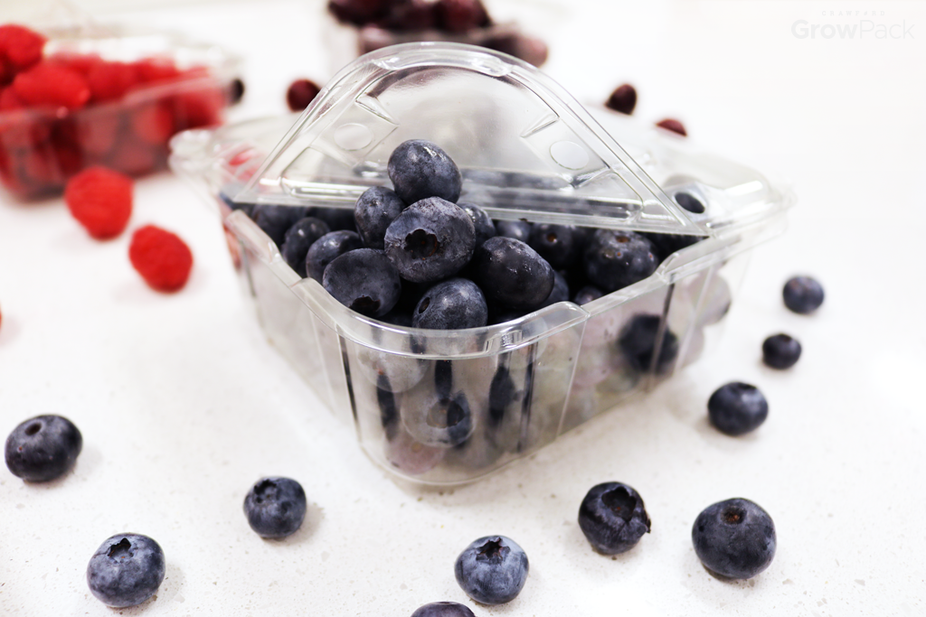 blueberries packed in growpack easy pour clamshell on white background