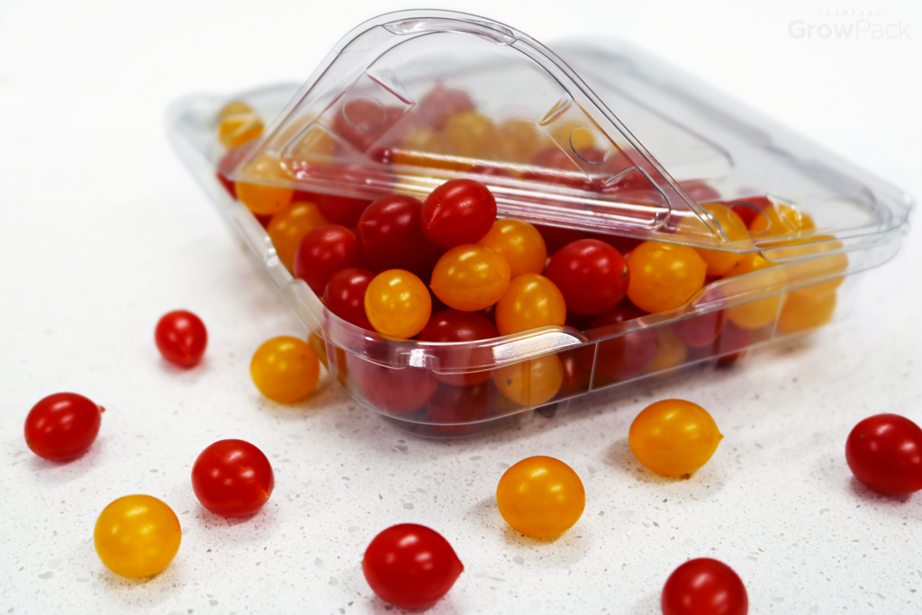 tiny red and yellow tomatoes in growpack easy pour clamshells on white background