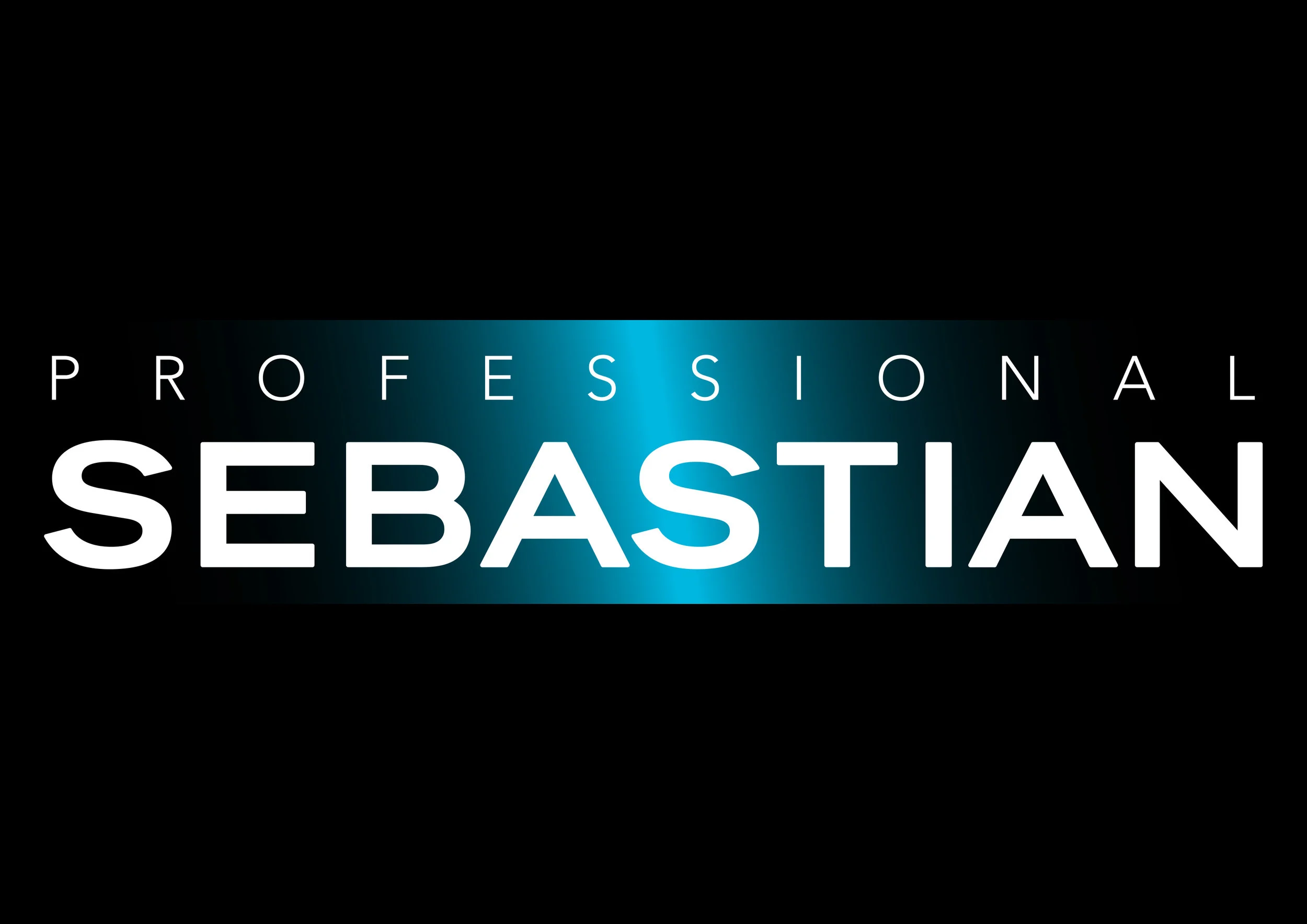 Sebastian-Professional-Logo-Print.jpg
