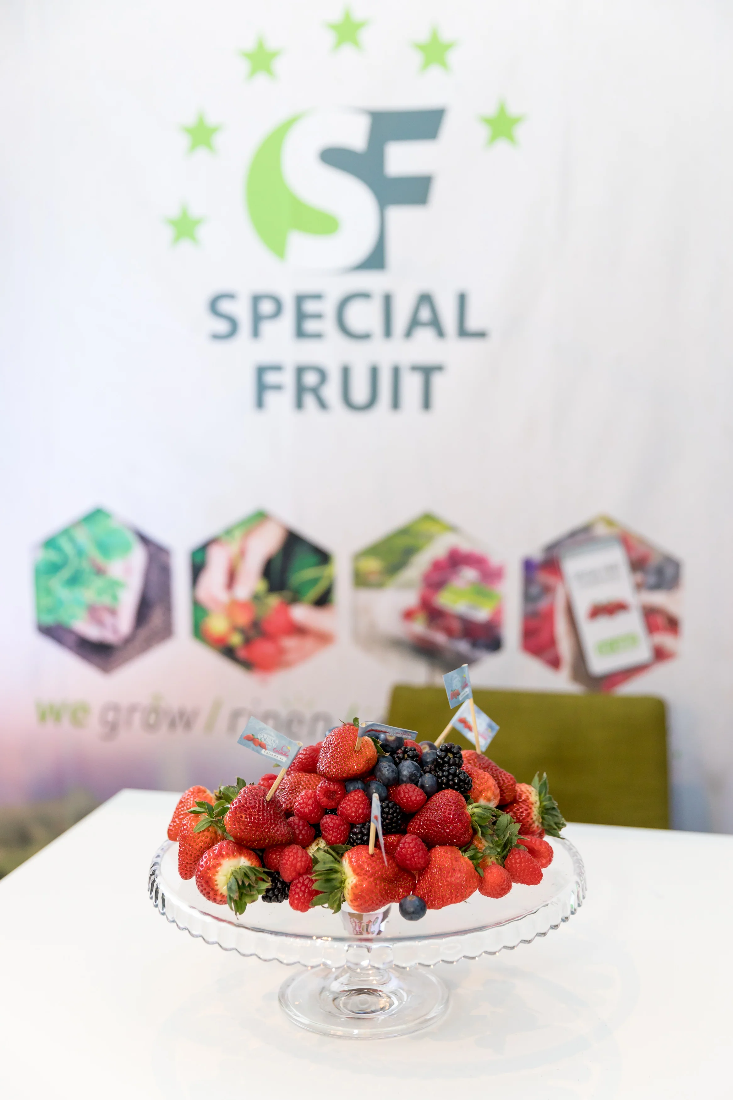 Global-Berry-Congress-2018-small-13191.jpg