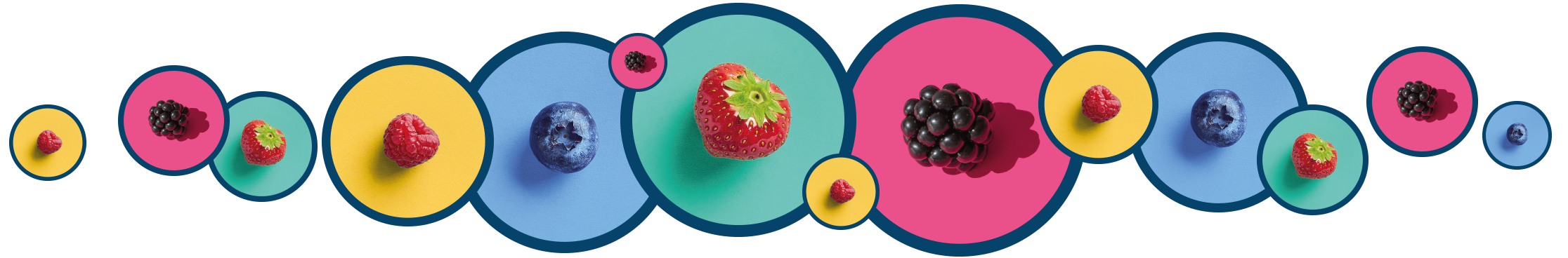 Berry-Banner.png