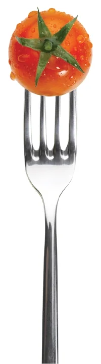 TomahtoFork.jpg