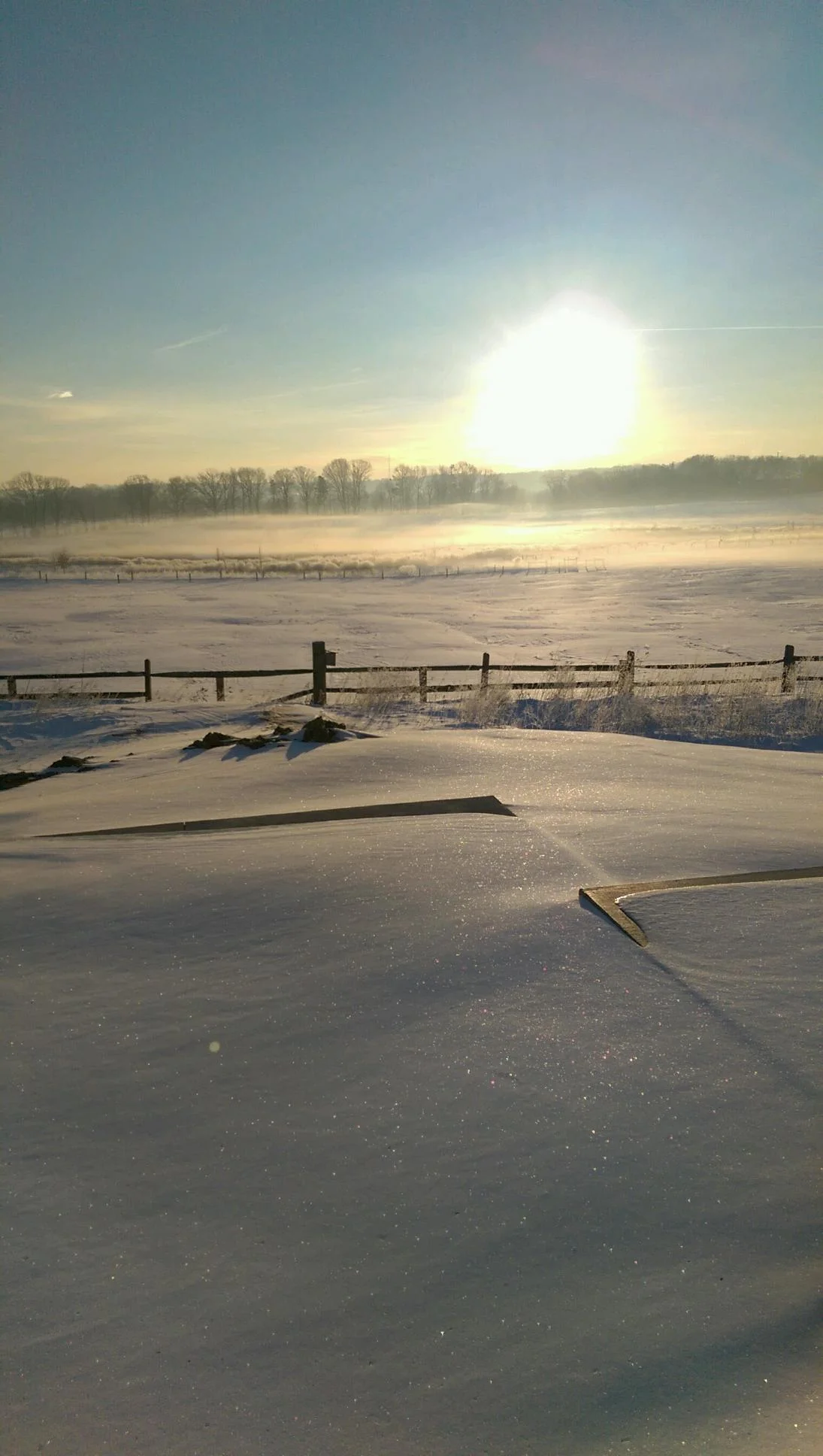 Winter Walk with Naturalist Rick Collier