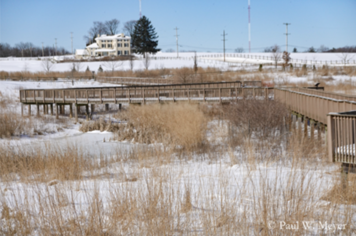 The Dixon Meadow Preserve – Seasons along the ‘Jewel of the Wissahickon’